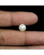 South Sea Pearl (Moti) 5.21 Carat 