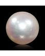 South Sea Pearl (Moti) 4.75 Carat 