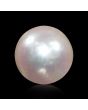 South Sea Pearl (Moti) 4.75 Carat 