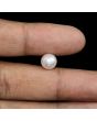 South Sea Pearl (Moti) 4.75 Carat 
