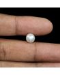 South Sea Pearl (Moti) 4.26 Carat 