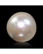South Sea Pearl (Moti) 5.9 Carat 