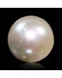 South Sea Pearl (Moti) 5.9 Carat 