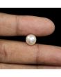 South Sea Pearl (Moti) 5.9 Carat 
