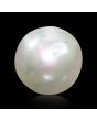 South Sea Pearl (Moti) 5.54 Carat 