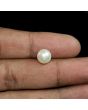 South Sea Pearl (Moti) 5.54 Carat 
