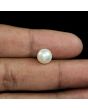 South Sea Pearl (Moti) 5.54 Carat 