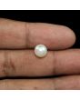 South Sea Pearl (Moti) 4.4 Carat 