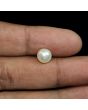 South Sea Pearl (Moti) 4.4 Carat 