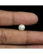South Sea Pearl (Moti) 4.4 Carat 