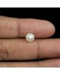 South Sea Pearl (Moti) 3.67 Carat 