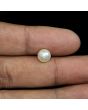 South Sea Pearl (Moti) 3.67 Carat 