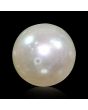 South Sea Pearl (Moti) 5.75 Carat 