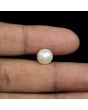 South Sea Pearl (Moti) 5.75 Carat 