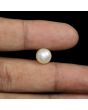 South Sea Pearl (Moti) 5.75 Carat 