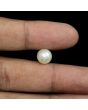 South Sea Pearl (Moti) 5.75 Carat 