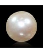 South Sea Pearl (Moti) 4.64 Carat 