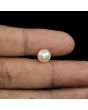 South Sea Pearl (Moti) 4.64 Carat 