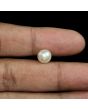 South Sea Pearl (Moti) 4.75 Carat 