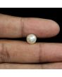 South Sea Pearl (Moti) 4.75 Carat 