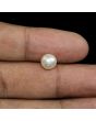 South Sea Pearl (Moti) 3.67 Carat 