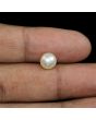 South Sea Pearl (Moti) 3.67 Carat 