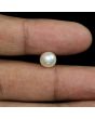 South Sea Pearl (Moti) 3.67 Carat 