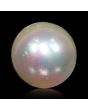 South Sea Pearl (Moti) 5.84 Carat 