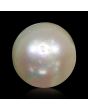 South Sea Pearl (Moti) 5.84 Carat 