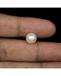 South Sea Pearl (Moti) 5.84 Carat 