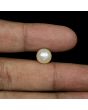 South Sea Pearl (Moti) 5.84 Carat 