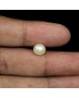 South Sea Pearl (Moti) 4.01 Carat 
