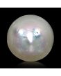 South Sea Pearl (Moti) 13.98 Carat 