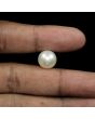 South Sea Pearl (Moti) 13.98 Carat 