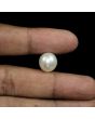 South Sea Pearl (Moti) 13.98 Carat 