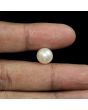 South Sea Pearl (Moti) 8.38 Carat 