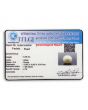 South Sea Pearl (Moti) 8.38 Carat 