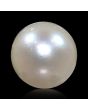 South Sea Pearl (Moti) 11.32 Carat 