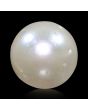 South Sea Pearl (Moti) 11.32 Carat 
