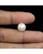South Sea Pearl (Moti) 11.32 Carat 