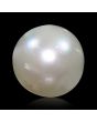South Sea Pearl (Moti) 9.03 Carat 