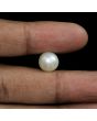 South Sea Pearl (Moti) 9.03 Carat 