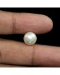South Sea Pearl (Moti) 8.8 Carat 