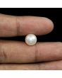 South Sea Pearl (Moti) 8.45 Carat 