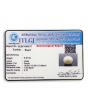 South Sea Pearl (Moti) 8.45 Carat 