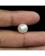 South Sea Pearl (Moti) 10.18 Carat 