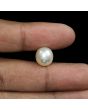 South Sea Pearl (Moti) 10.18 Carat 