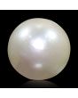 South Sea Pearl (Moti) 10.88 Carat 