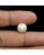 South Sea Pearl (Moti) 10.88 Carat 