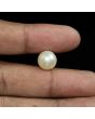 South Sea Pearl (Moti) 10.88 Carat 